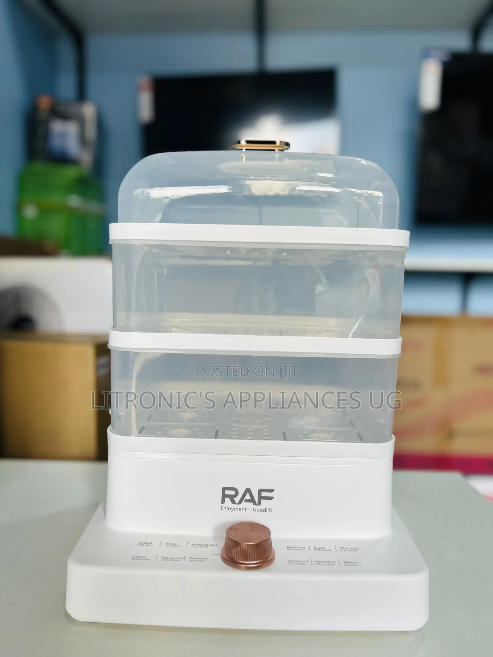 Electric Food Steamer