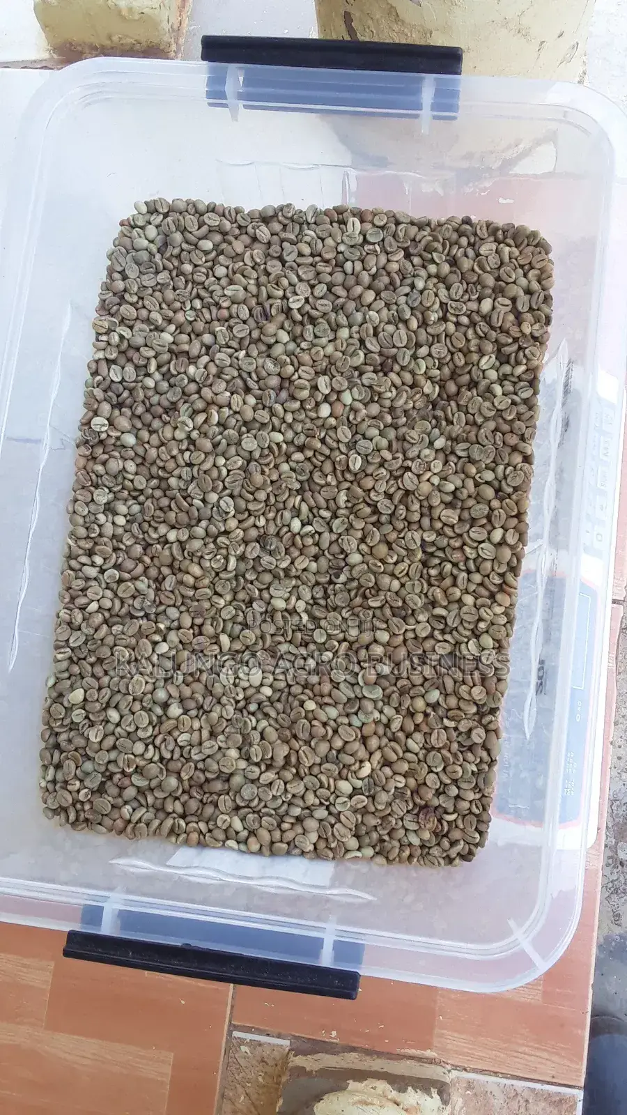 Pure Robusta Coffee