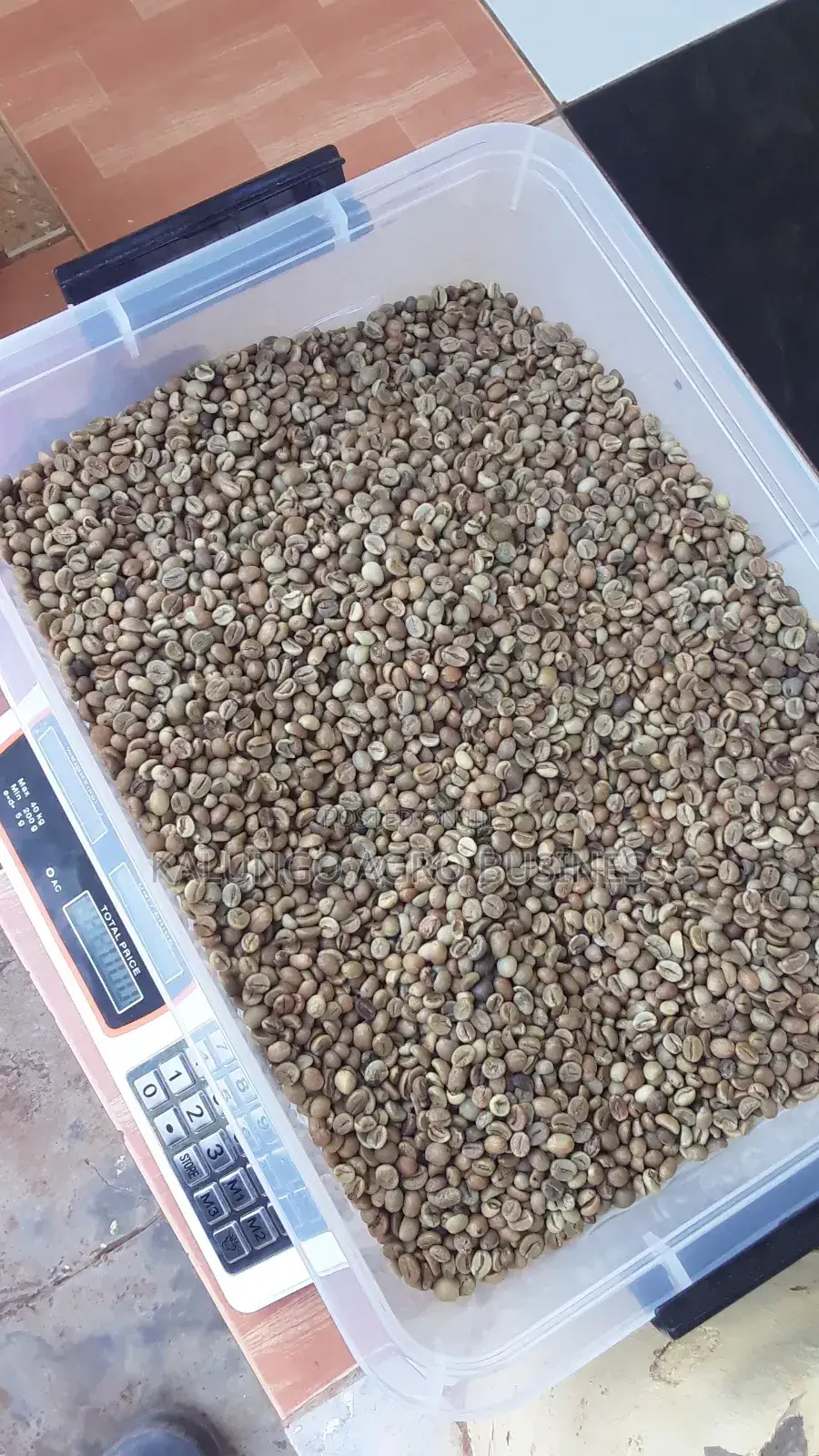 Pure Robusta Coffee