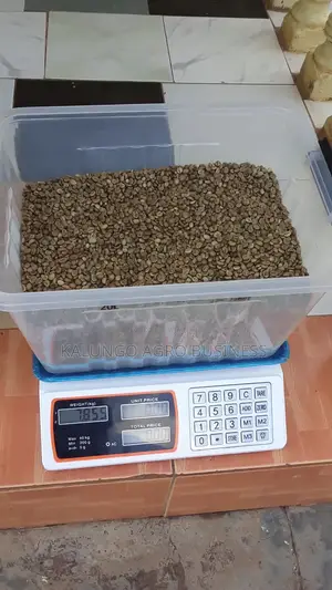 Pure Robusta Coffee