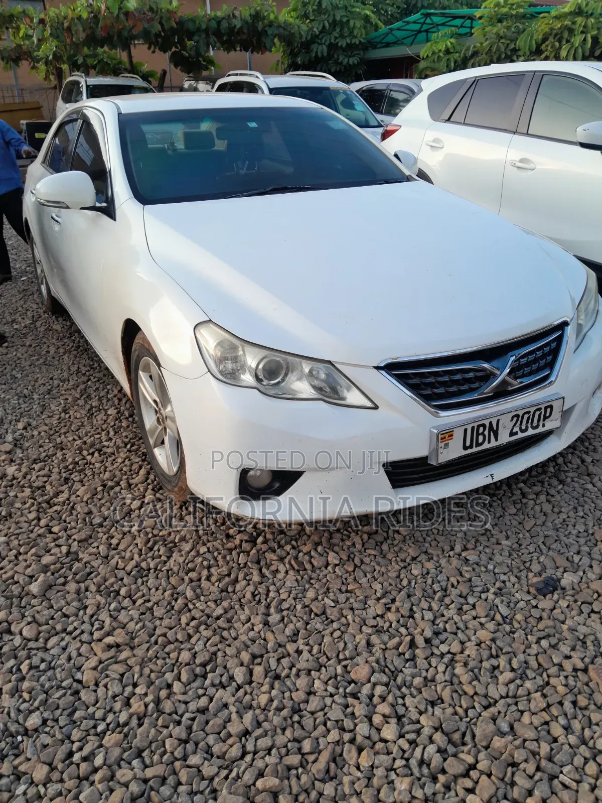 Toyota Mark X 2013 White