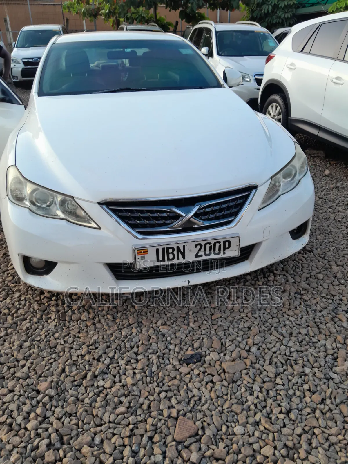 Toyota Mark X 2013 White