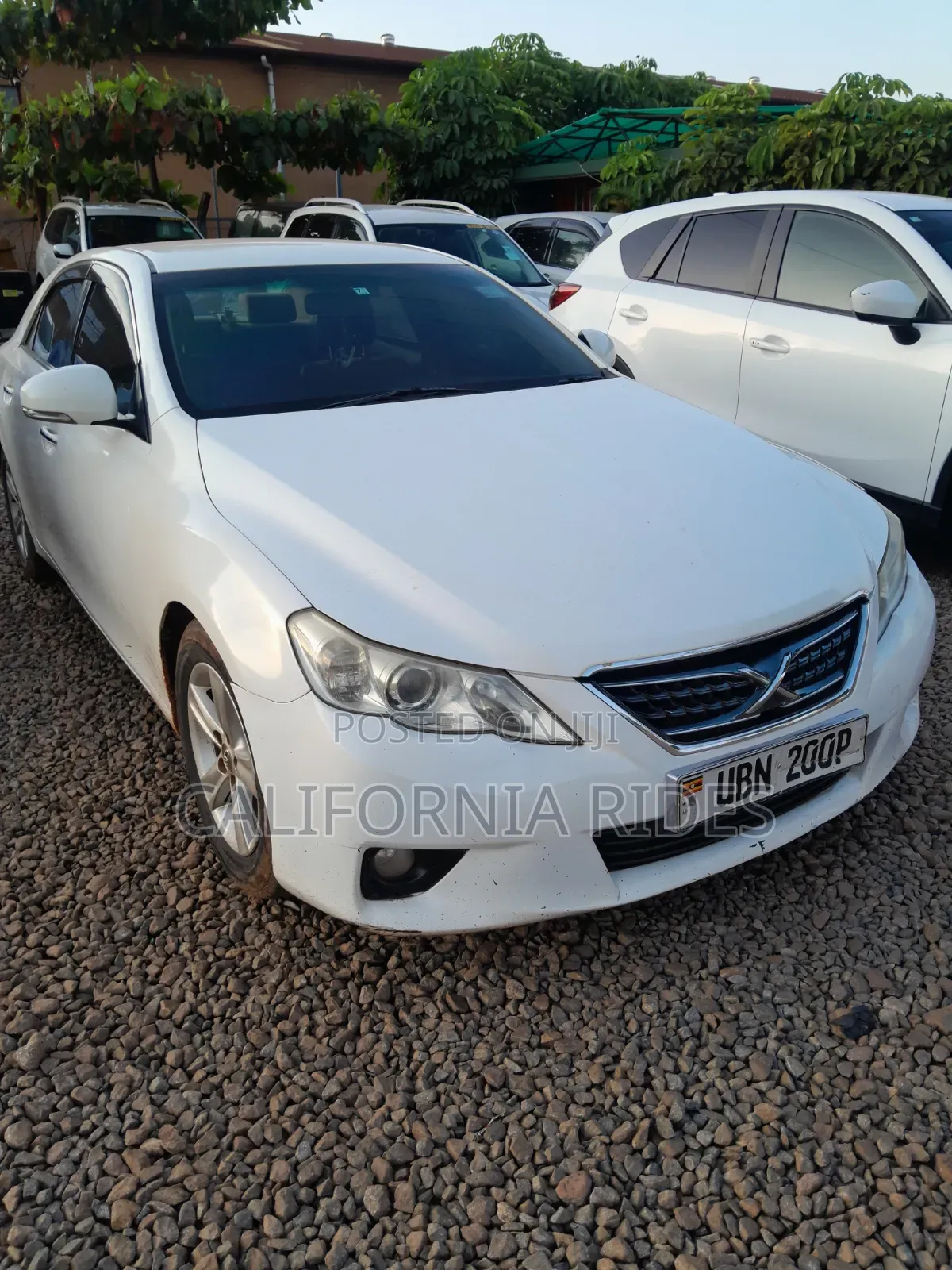 Toyota Mark X 2013 White