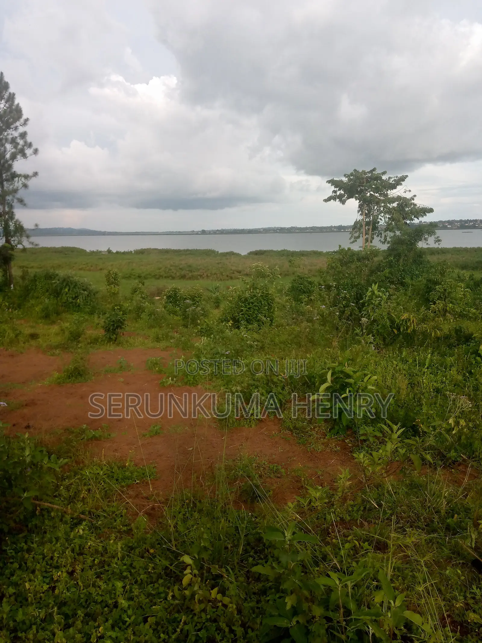 Plot for Sale, at Buwaya Ssazi, Clear Lake View 70 X 100ft