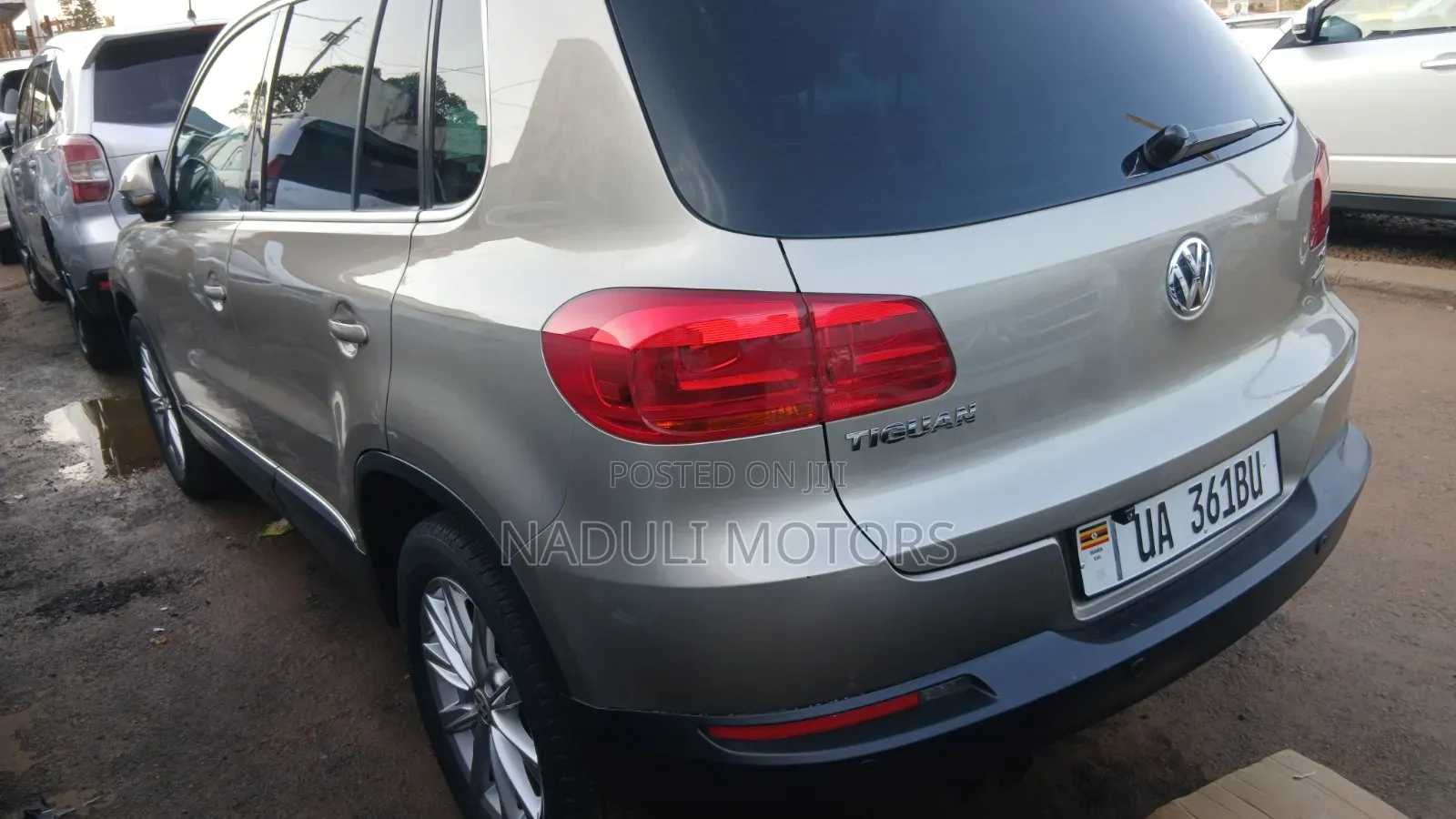 Volkswagen Tiguan 2013 Gold