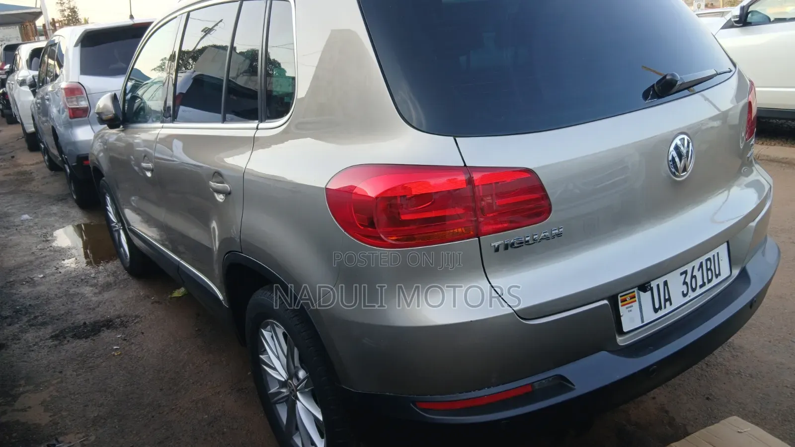 Volkswagen Tiguan 2013 Gold