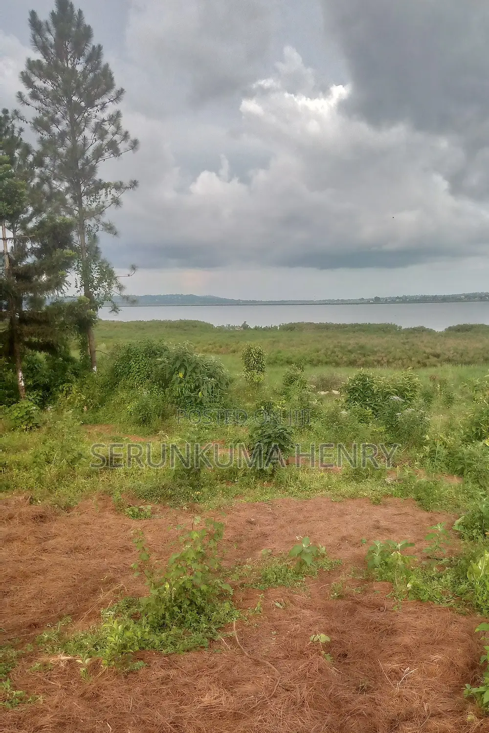 Plot for Sale, at Buwaya Ssazi, Clear Lake View 70 X 100ft