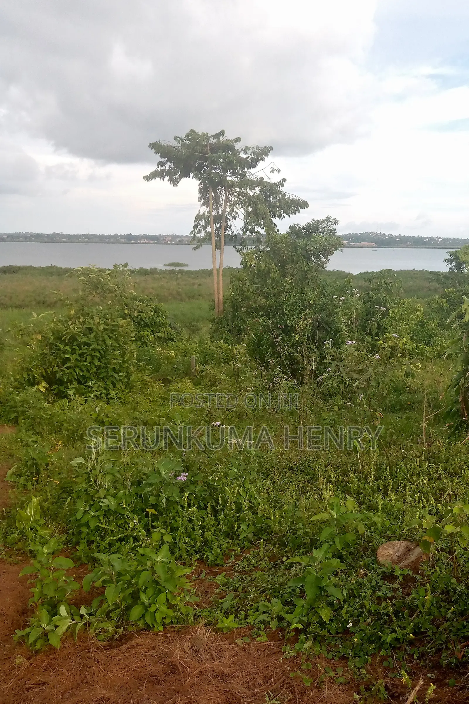 Plot for Sale, at Buwaya Ssazi, Clear Lake View 70 X 100ft