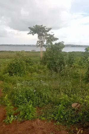 Plot for Sale, at Buwaya Ssazi, Clear Lake View 70 X 100ft