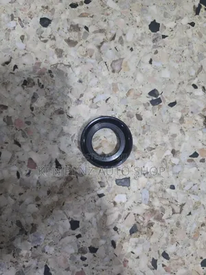 Mitsubishi Pajero Plug Oil Seal