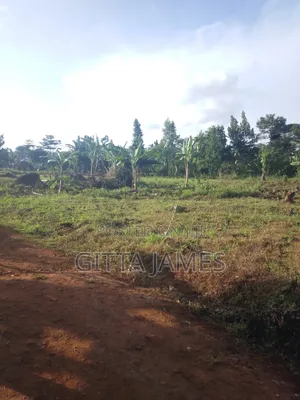 5 Plots for Sale by Owner in Kisoga Banda 40ft From the Tarmac