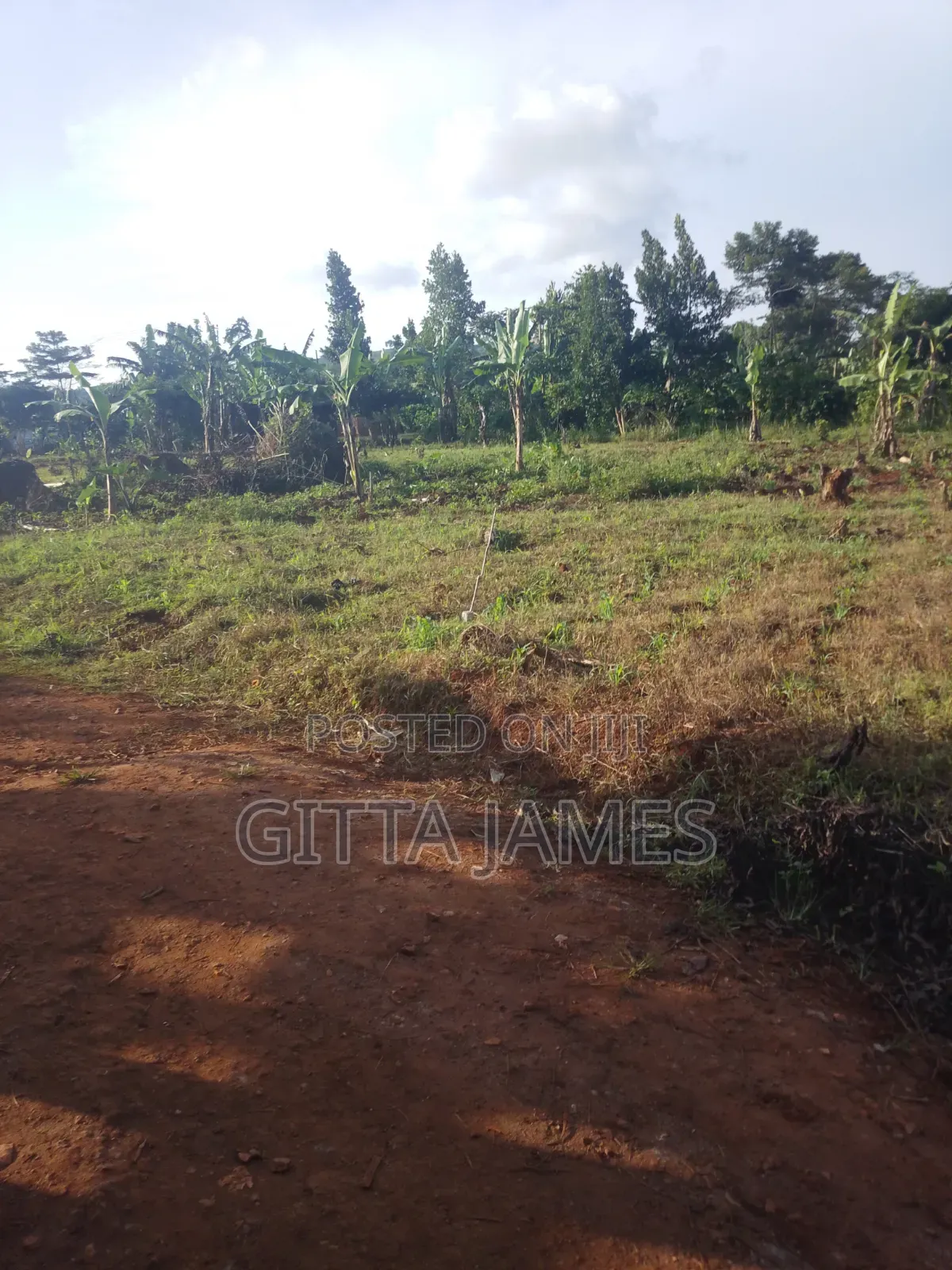 5 Plots for Sale by Owner in Kisoga Banda 40ft From the Tarmac
