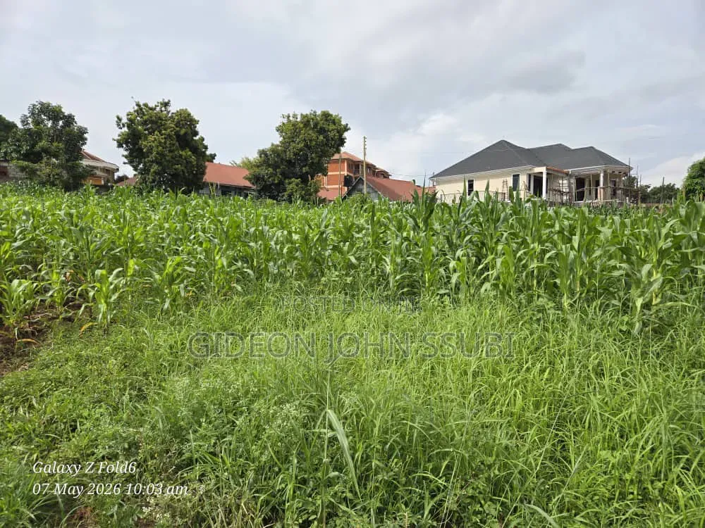 35 Decimals Commercial Land in Kamwokya