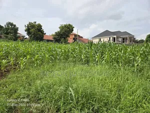 35 Decimals Commercial Land in Kamwokya