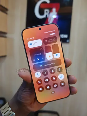 Xiaomi 17 512 GB Gray