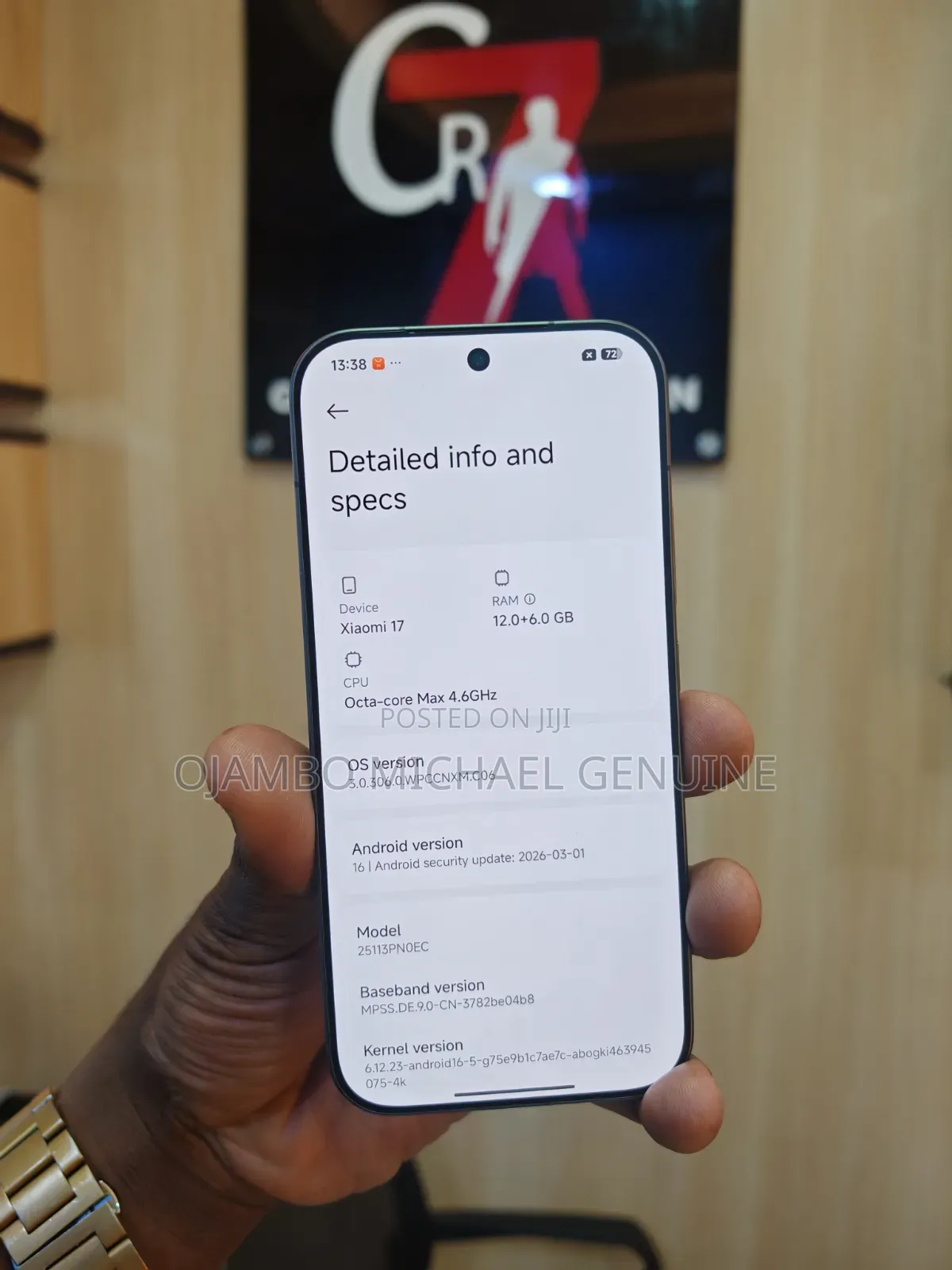 Xiaomi 17 512 GB Gray