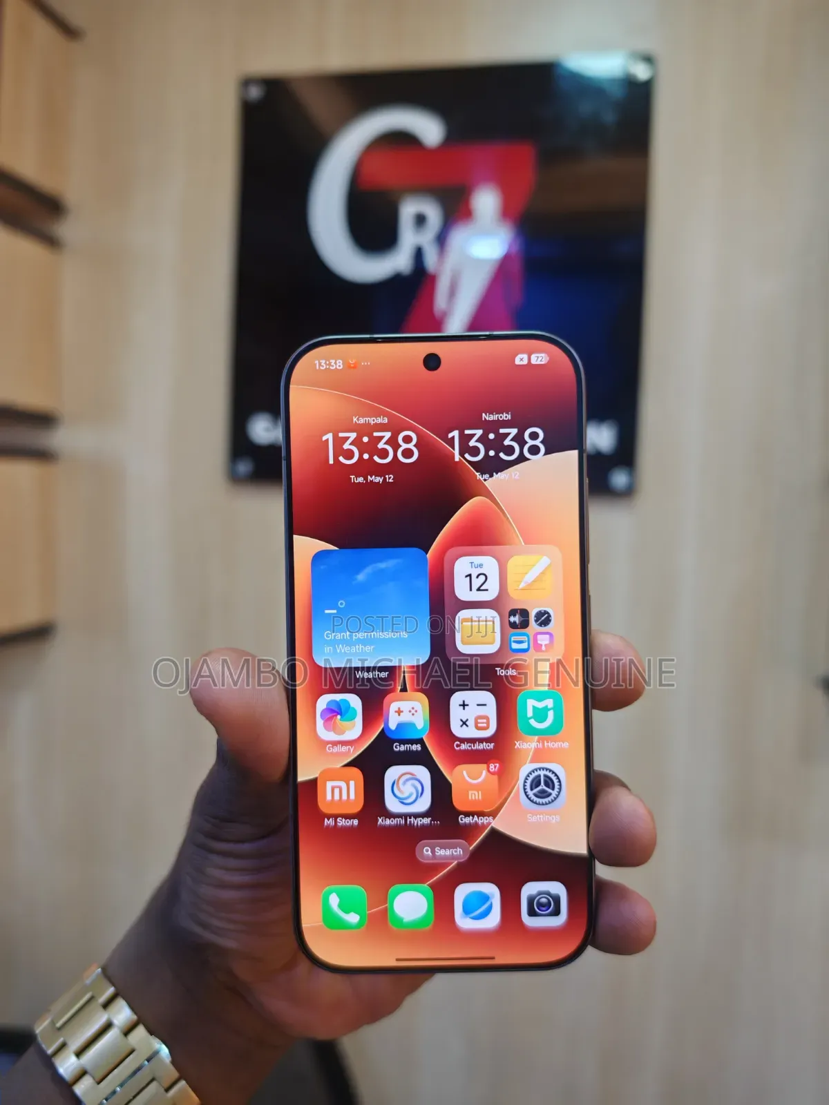 Xiaomi 17 512 GB Gray