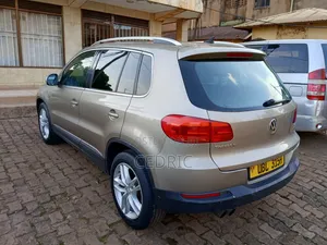 Volkswagen Tiguan 2013 Beige