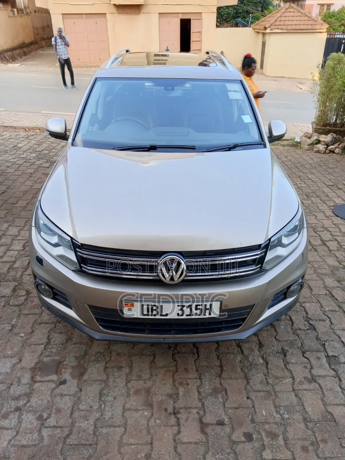 Volkswagen Tiguan 2013 Beige