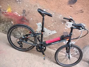 Alton Magnum Electric Bicycle