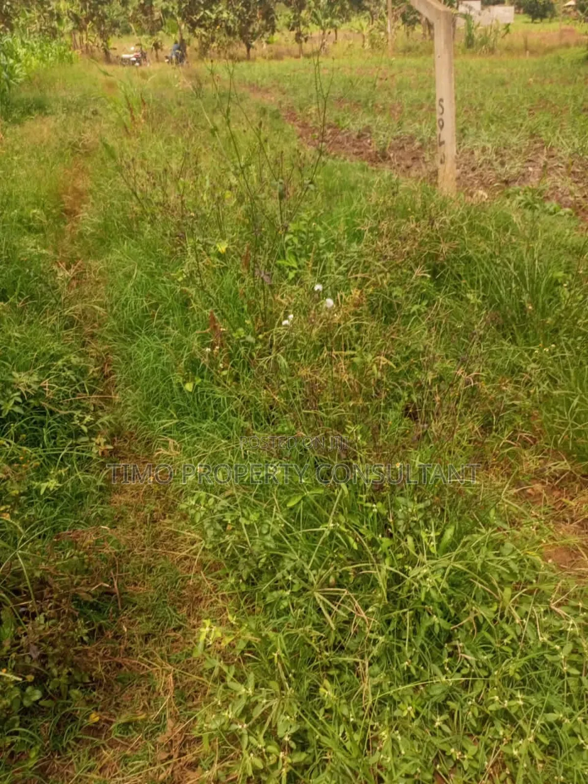Aplot on Sell in Sissa Entebbe Road