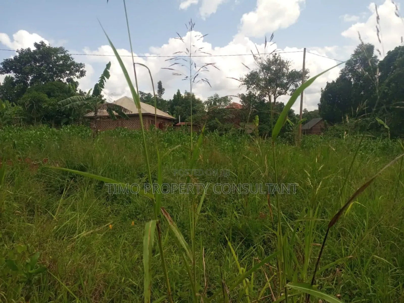 Aplot on Sell in Sissa Entebbe Road