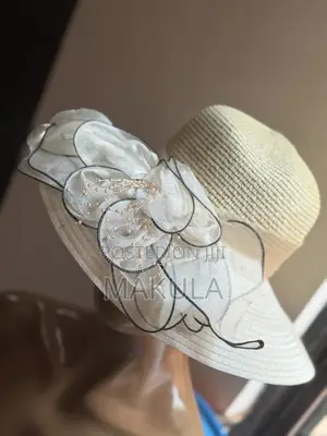 Elegant Nude Stylish Hat