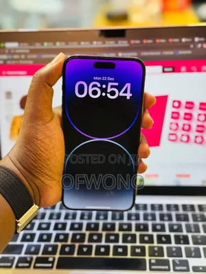 Apple iPhone 15 Pro Max 256 GB Gray