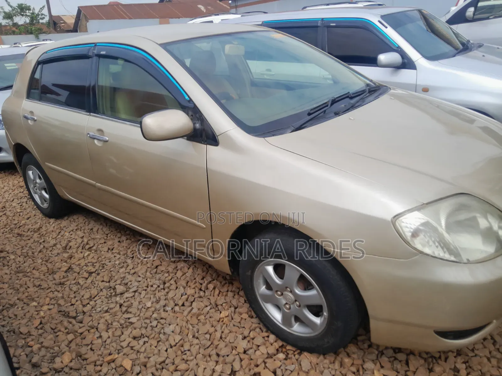 Toyota Allex 2005 Gold