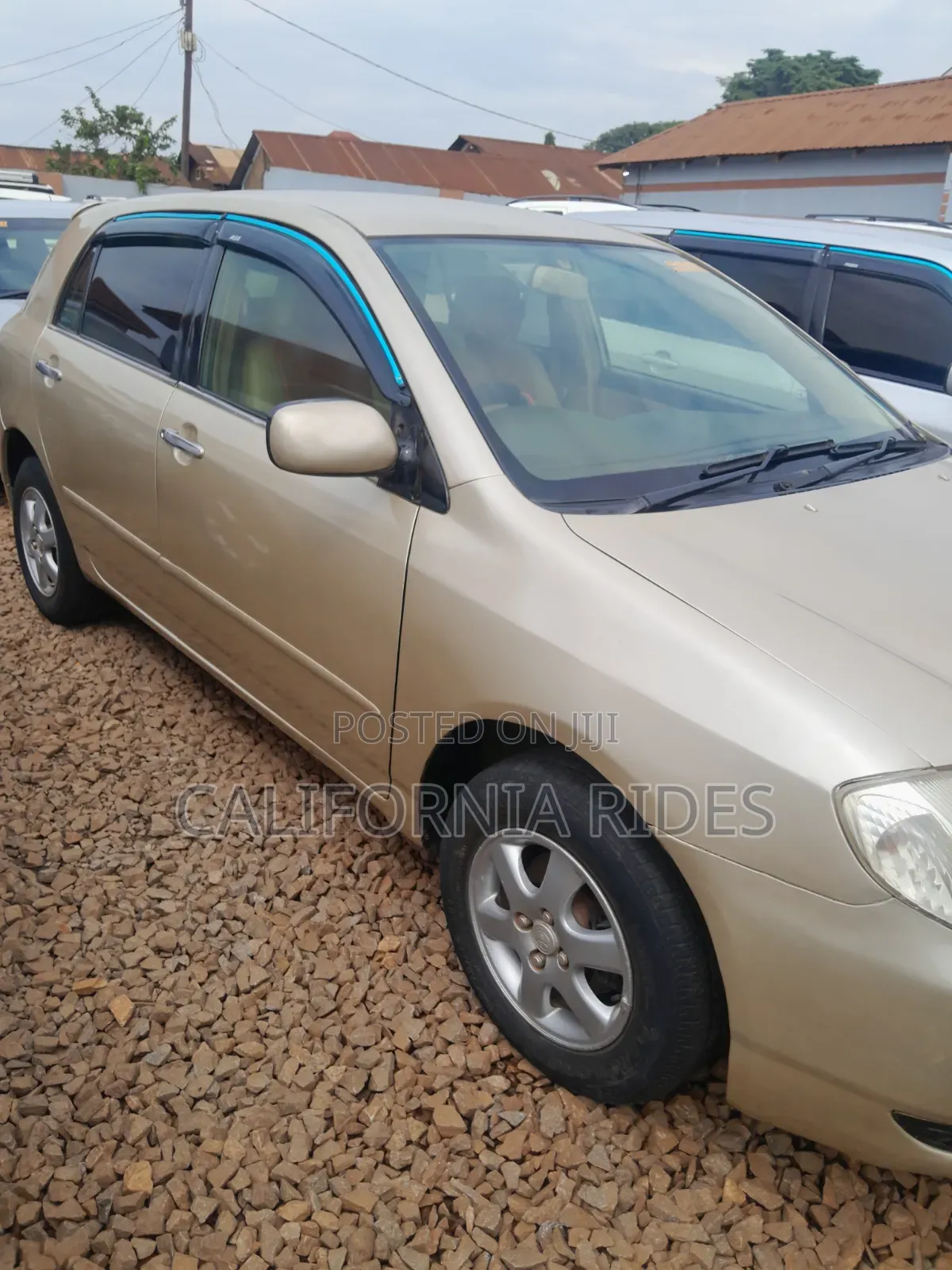 Toyota Allex 2005 Gold