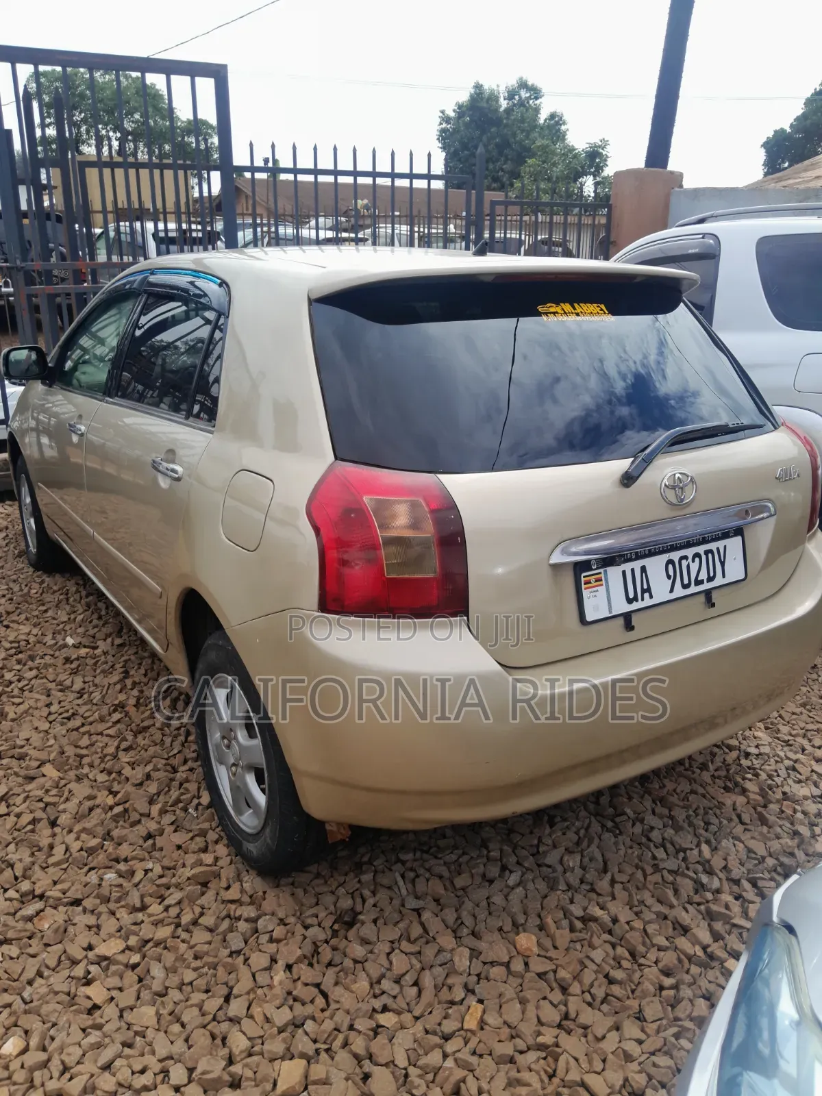 Toyota Allex 2005 Gold