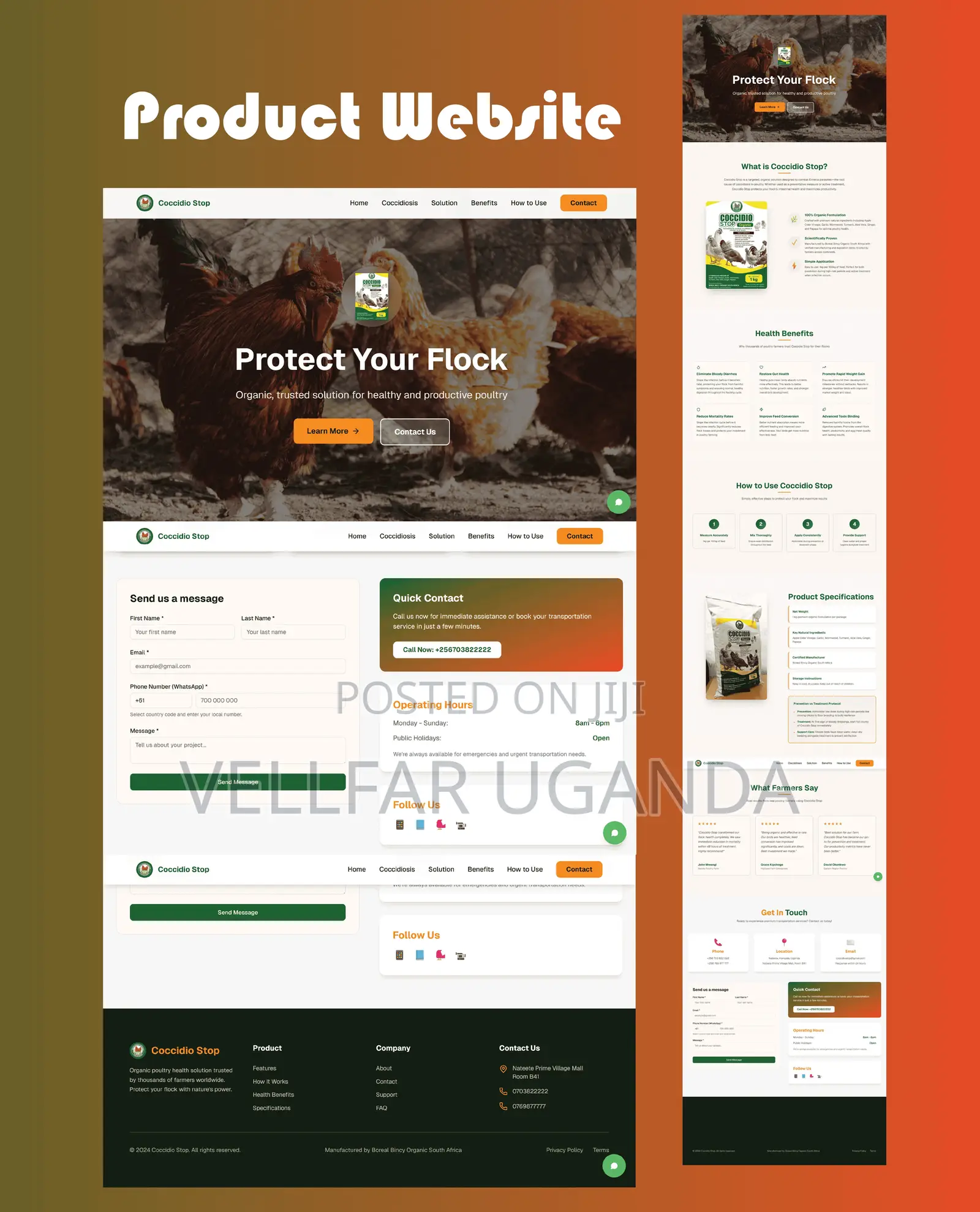 Affordable Website Design Services Kampala