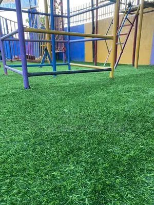 Artificial Grass Carpet School Compound