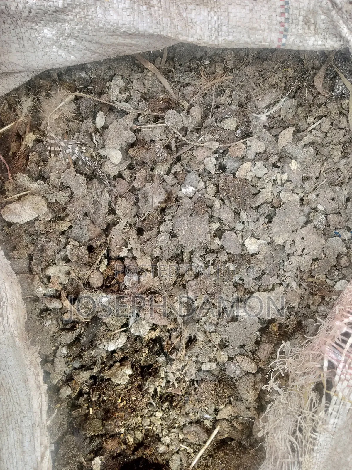 Fresh Chicken Manure for Sale.