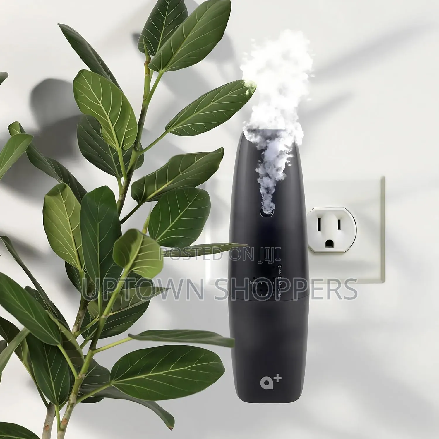 Waterless Plug-in Aroma Diffuser - Cold-air Essential Oil Machine