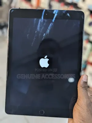 Apple iPad Air 2 64 GB Gray