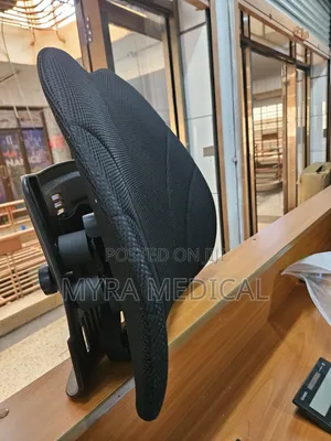 Car Back Rest