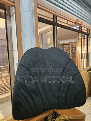 Car Back Rest
