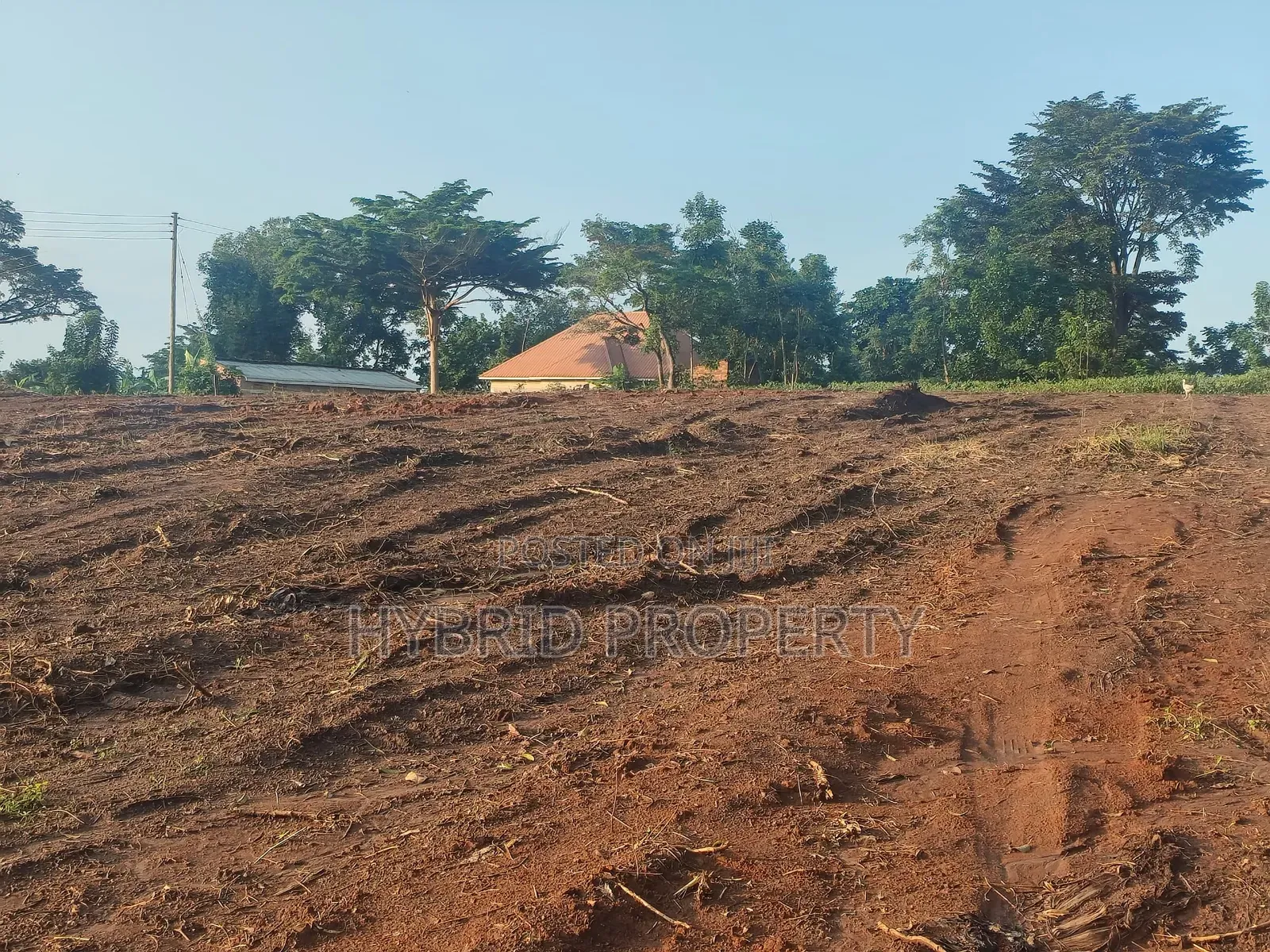 Prime Plots for Sale at Kakiri~Nampunge Town Tarmac View Modern Estate