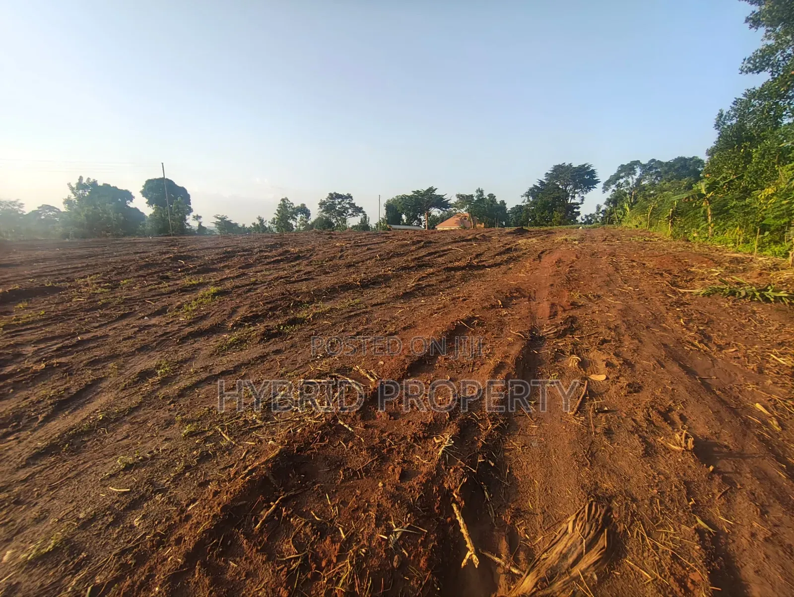 Prime Plots for Sale at Kakiri~Nampunge Town Tarmac View Modern Estate