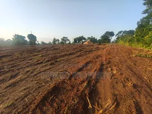 Prime Plots for Sale at Kakiri~Nampunge Town Tarmac View Modern Estate