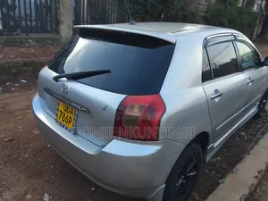 Toyota Allex 2004 Silver