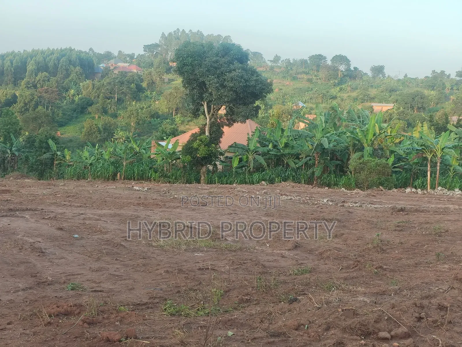 Prime Plots for Sale at Kakiri~Nakyerongosa Along Hoima Road.
