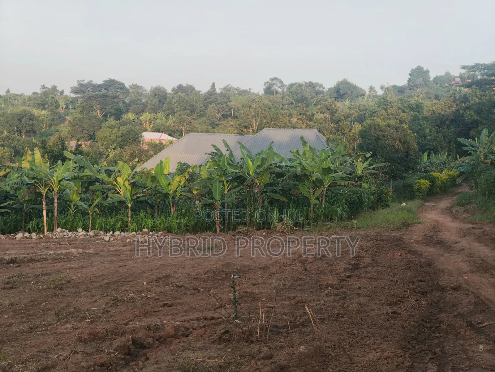 Prime Plots for Sale at Kakiri~Nakyerongosa Along Hoima Road.