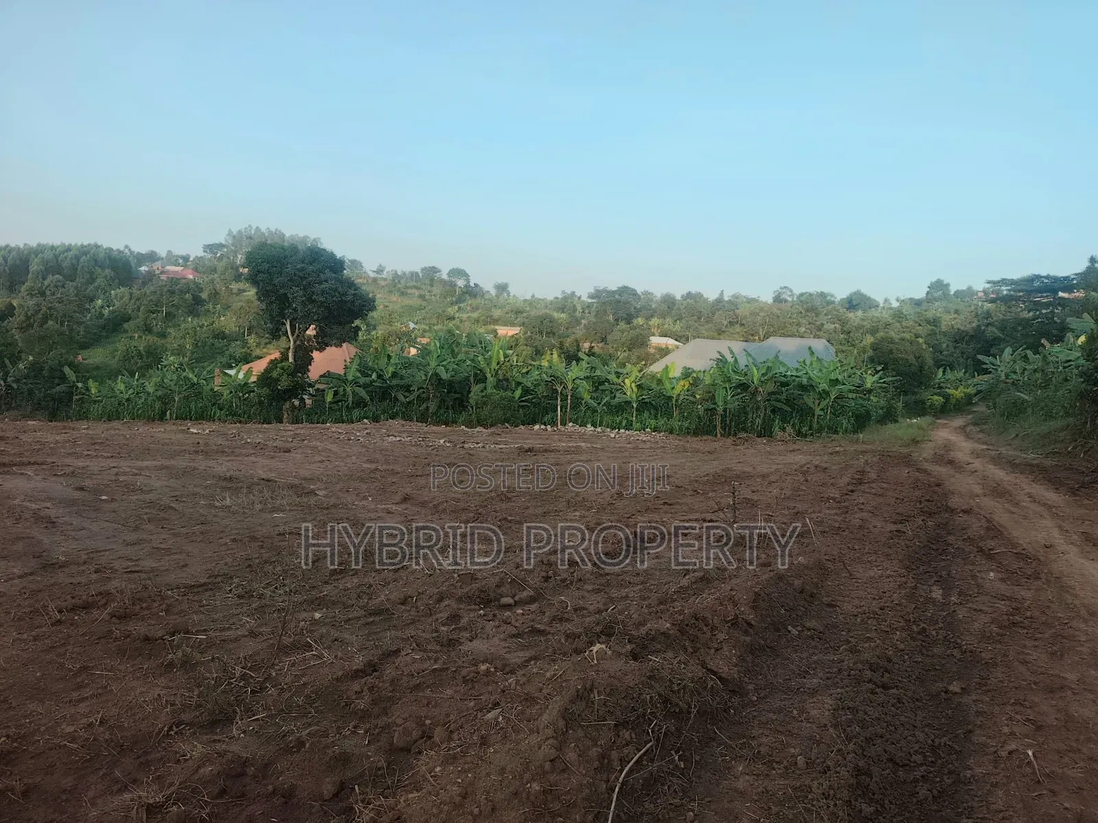 Prime Plots for Sale at Kakiri~Nakyerongosa Along Hoima Road.