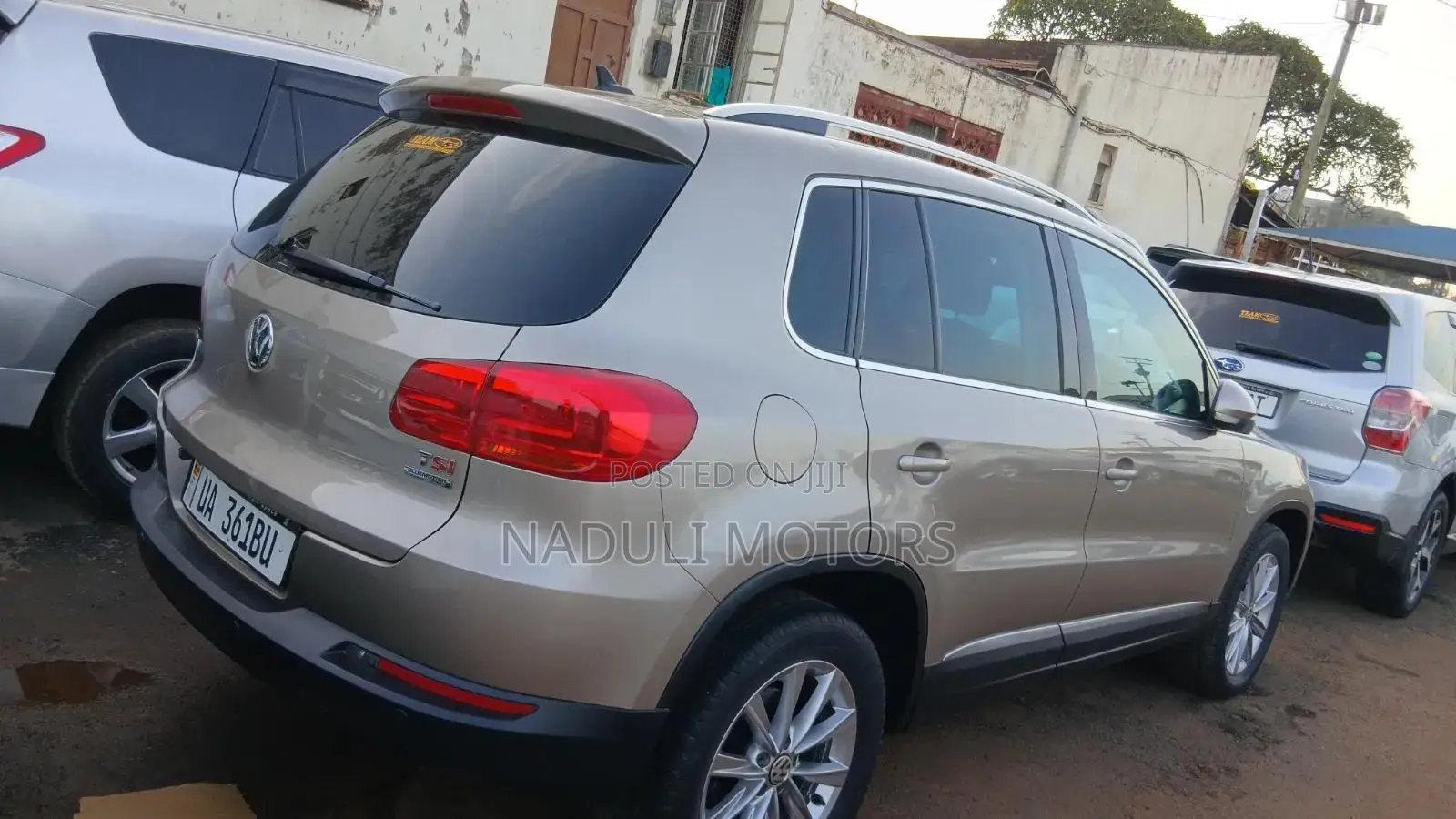 Volkswagen Tiguan 2013 Gold