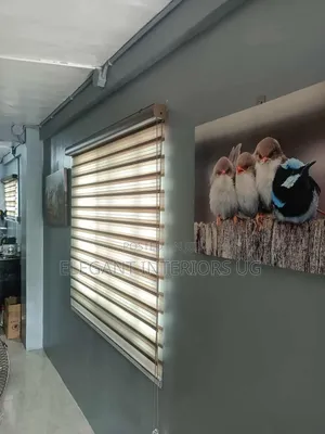 Elegant Window Roller Blinds Per Square Meter