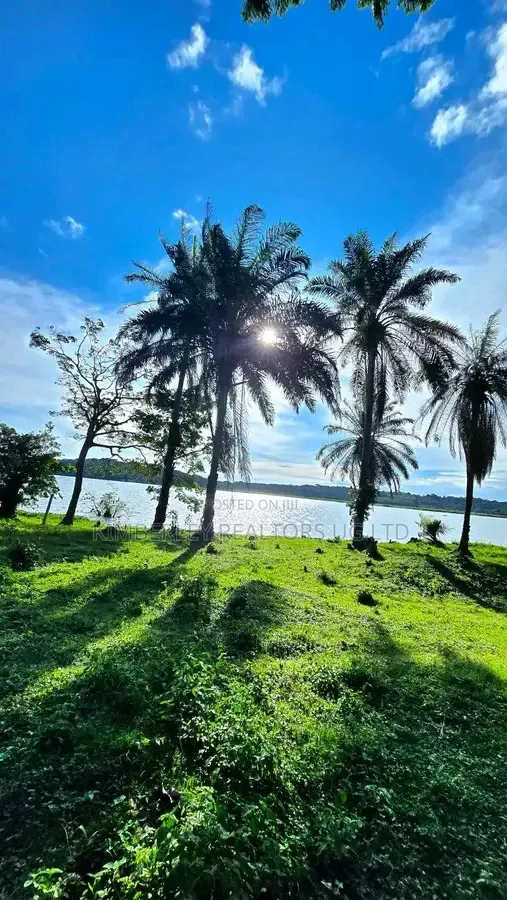 Primary School Property – Buikwe District (Nyenga–Jinja Road) at 280m