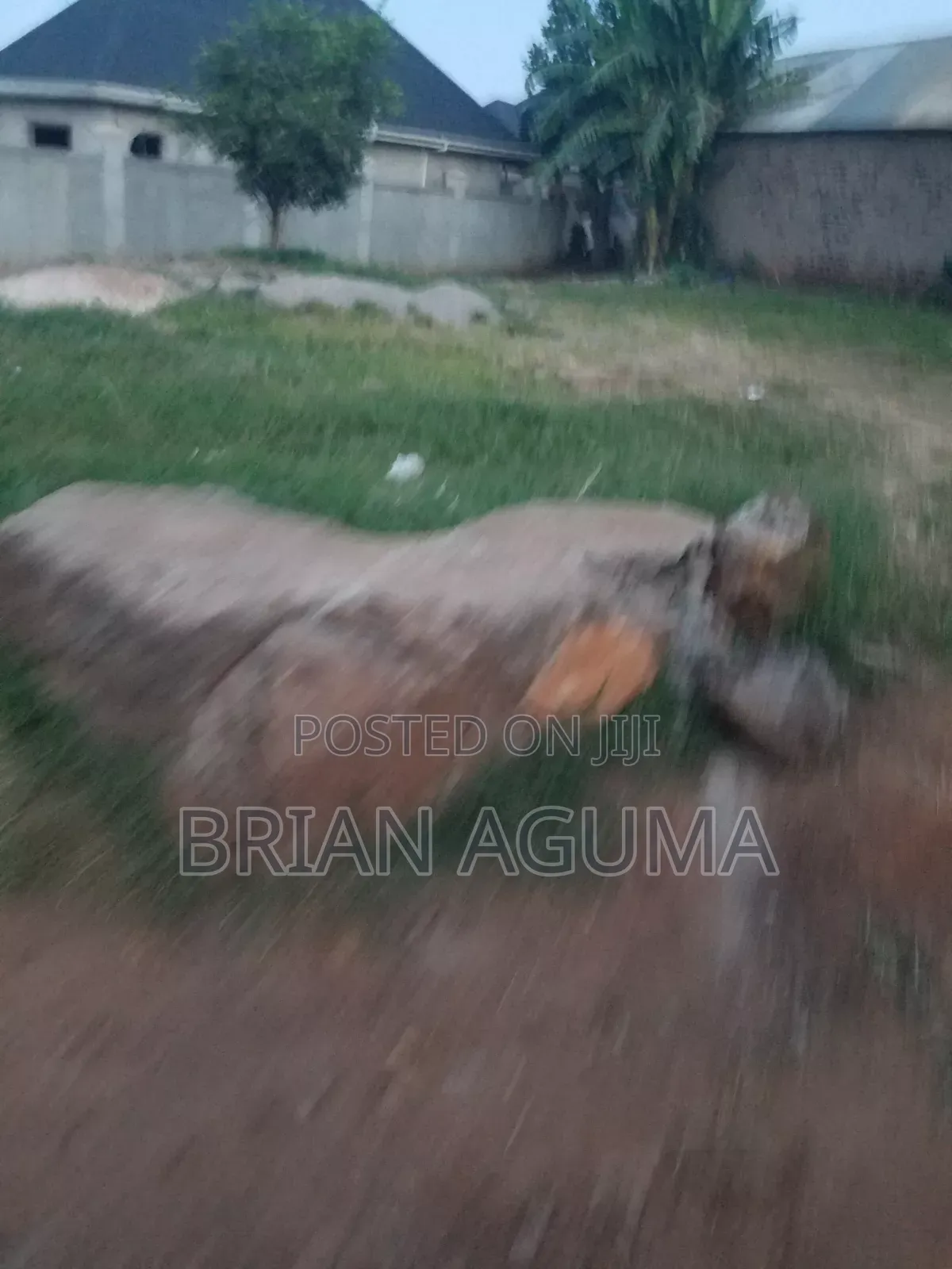 Plot for Sale in Estate