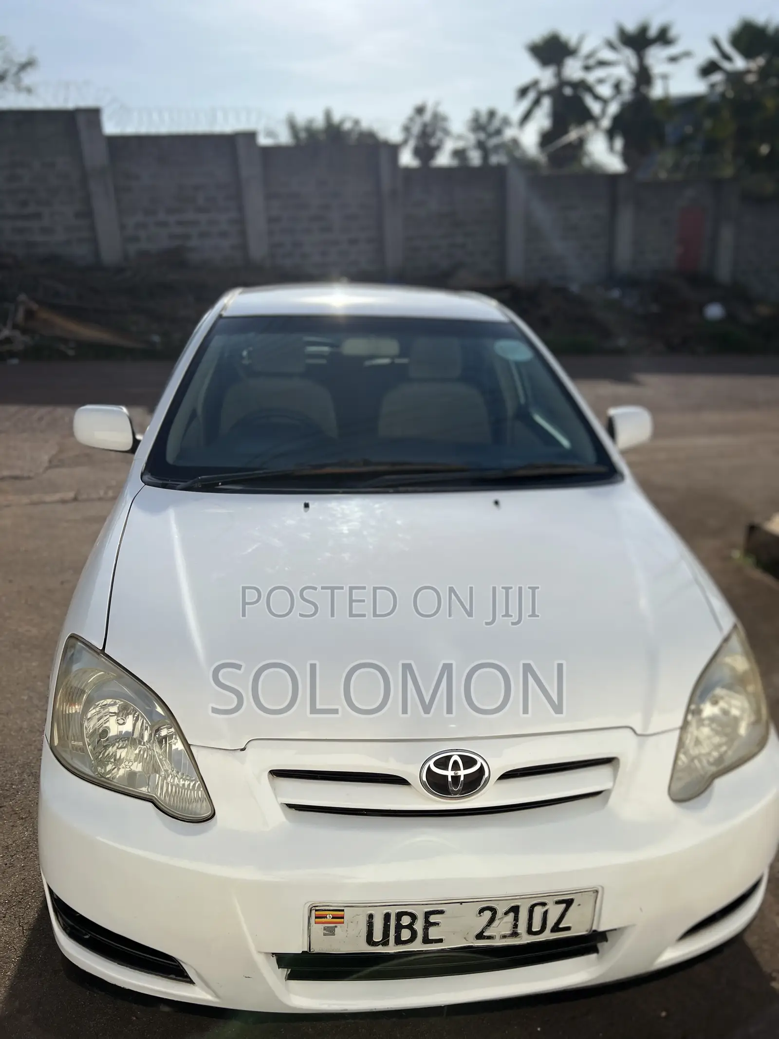 Toyota Allex 2006 White